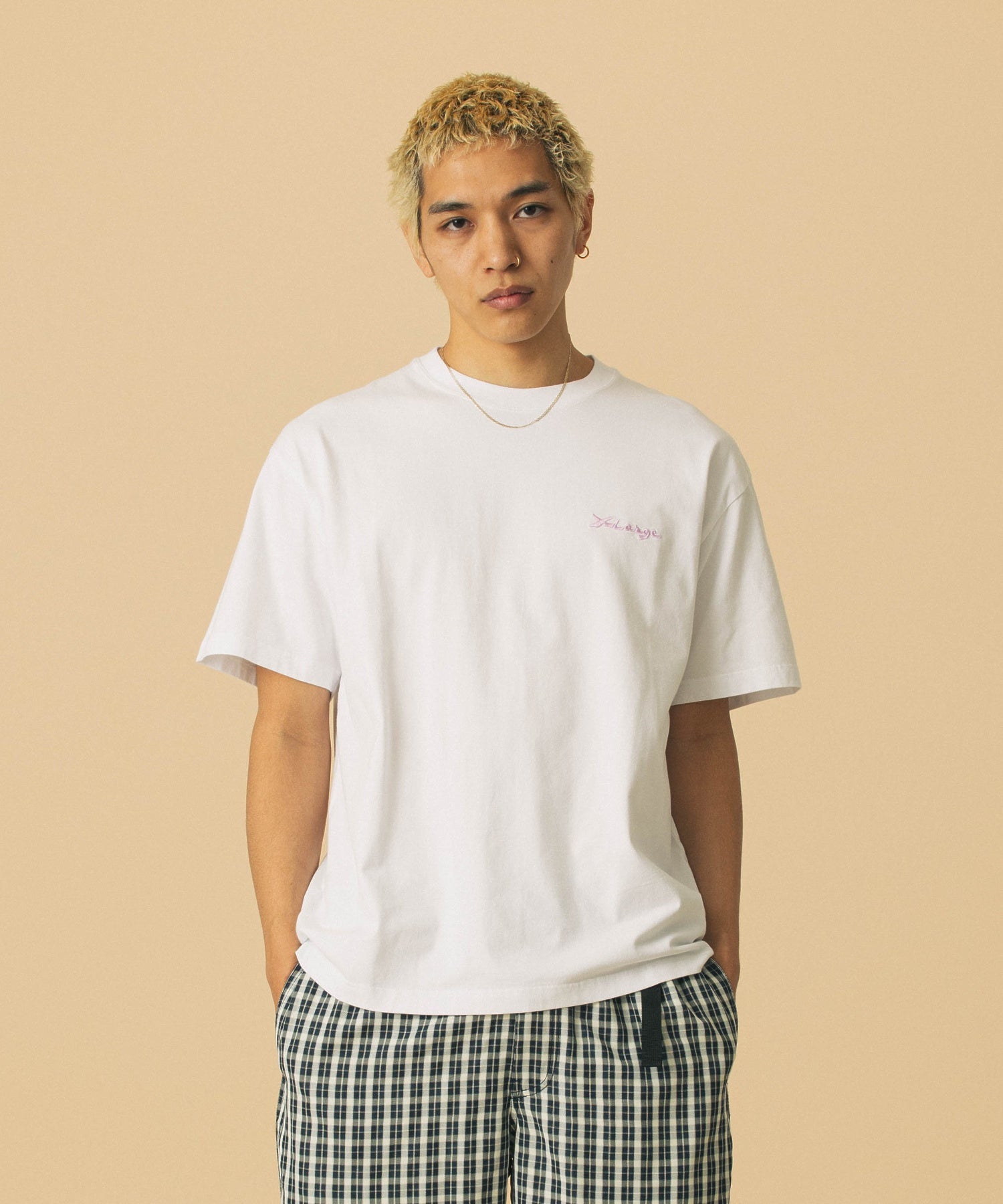 เสื้อยืดแขนสั้น XLARGE รุ่น Fountain Of Truth S/S Tee